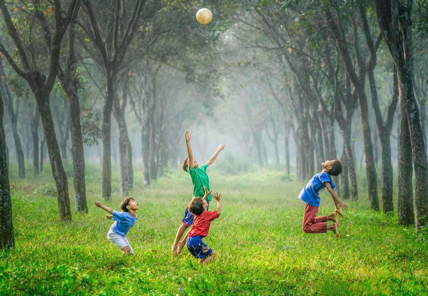 Children leaping to catch a ball in a sunlit grove of trees
