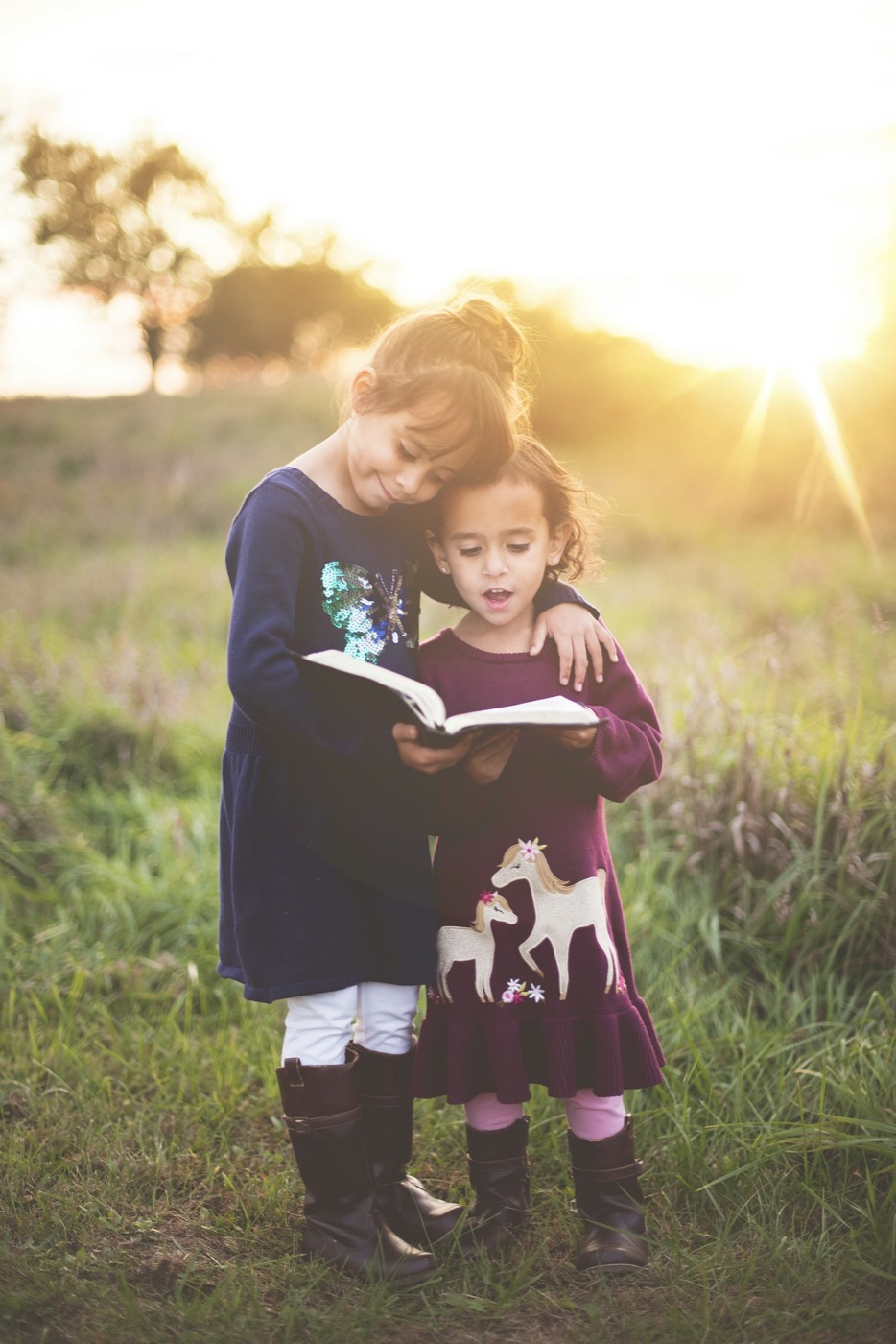An older sister reading a book aloud with her younger sister in a sunlit field